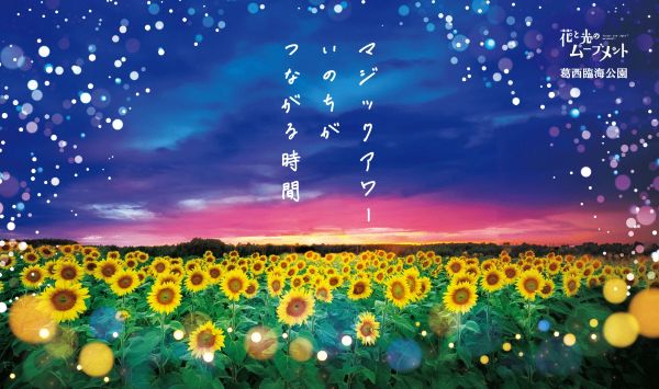 葛西臨海公園 花と光のムーブメント2026
