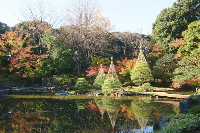旧古河庭園「紅葉とバラ、和と洋の秋」