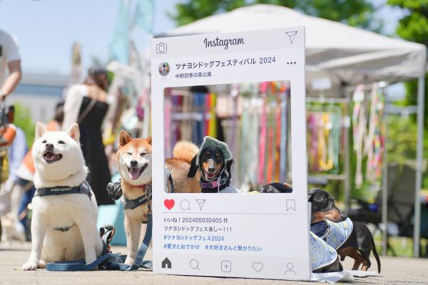 ツナヨシドッグフェスティバル 2025 SPRING