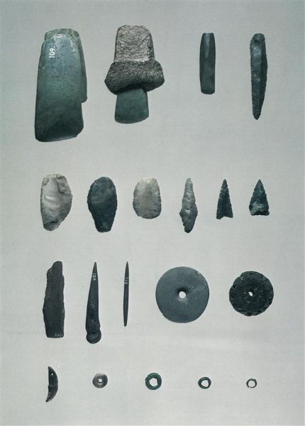 明治大学博物館 明大コレクション63「古代スイスの湖上住居遺跡」