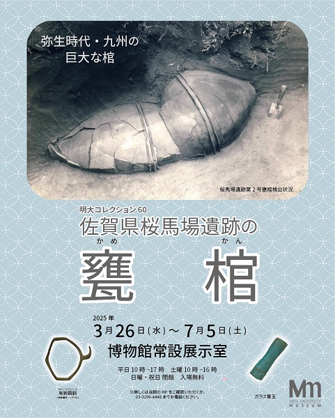 明治大学博物館 明大コレクション60「佐賀県桜馬場遺跡の甕棺」