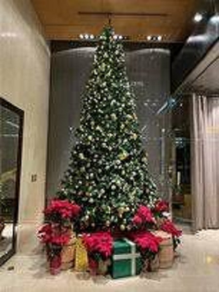シェラトン都ホテル東京 クリスマスイルミネーション2023