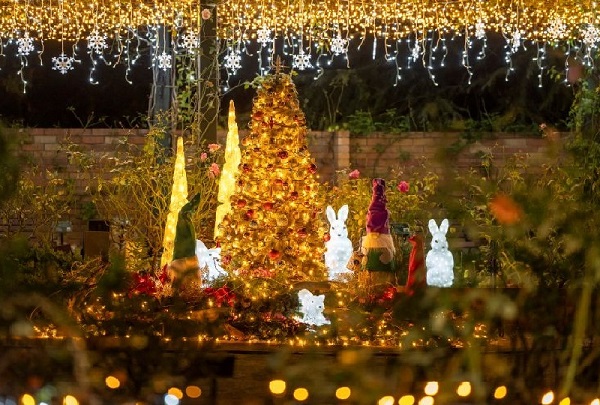 四季の香ローズガーデン2025ガーデンイルミネーション