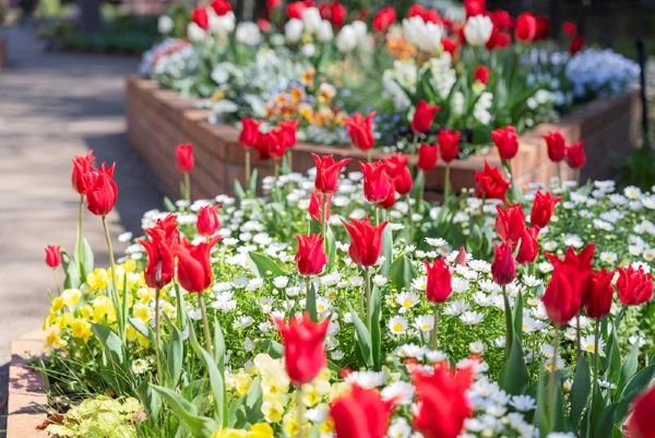 四季の香ローズガーデン ハッピーイースター2026