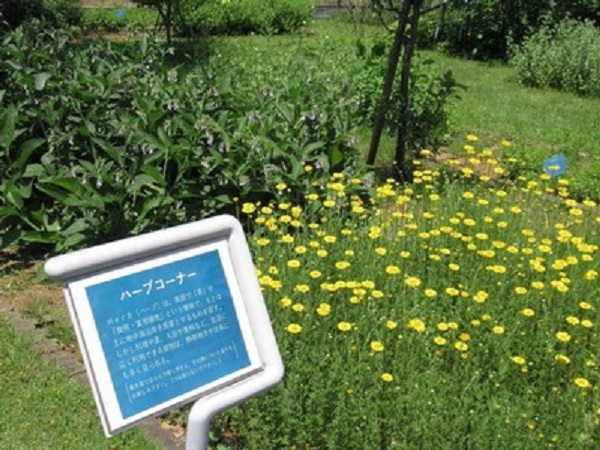 (c)Yumenoshima Park